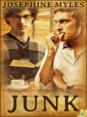 Junk - ebook